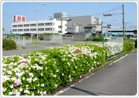 銀星自動車学園のおすすめポイント